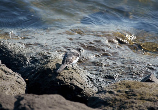201112191325-DSC03087.jpg