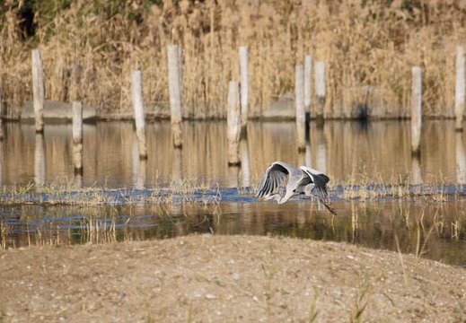 201112191400-DSC03138.jpg