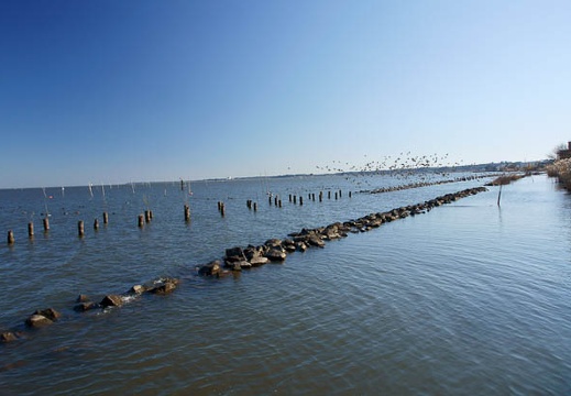 201112201251-DSC03300.jpg