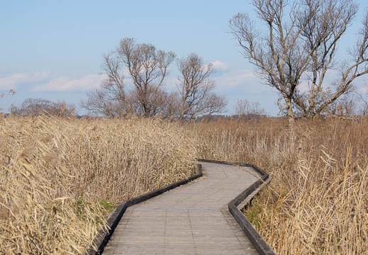 201112201309-DSC03343.jpg
