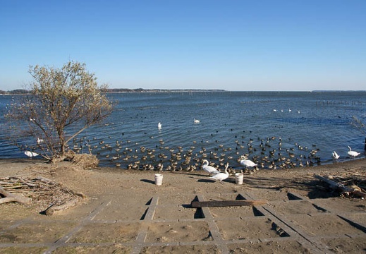 201112201328-DSC03386.jpg