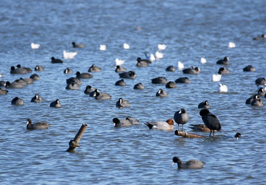 201112201336-DSC03423.jpg
