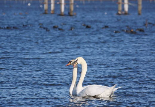 201112201343-DSC03465.jpg