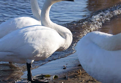201112201420-DSC03659.jpg