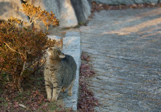201112201549-DSC03826.jpg