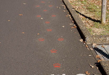 201112261203-DSC04428.jpg