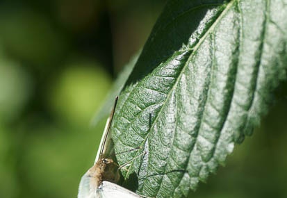 201112261219-DSC04483.jpg