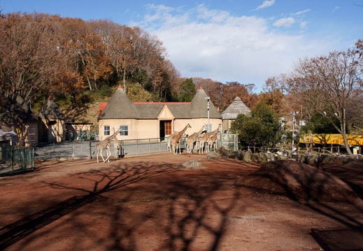 201112261316-DSC04645.jpg
