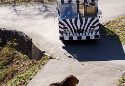 201112261346-DSC04755.jpg
