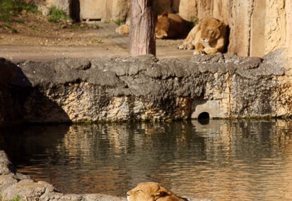 201112261350-DSC04766.jpg