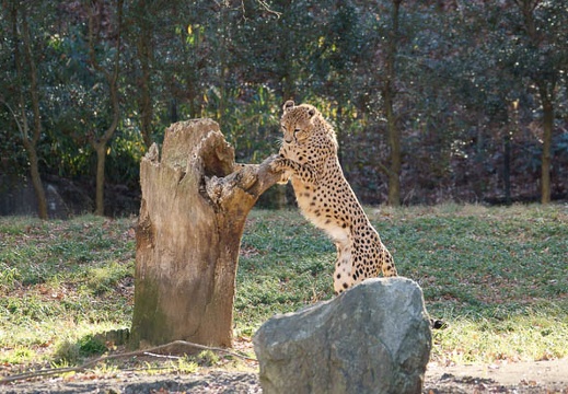 201112261354-DSC04783.jpg