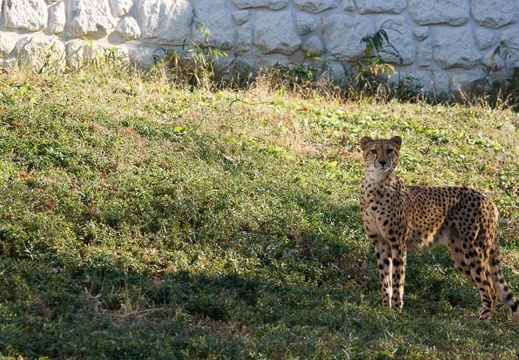 201112261358-DSC04801.jpg