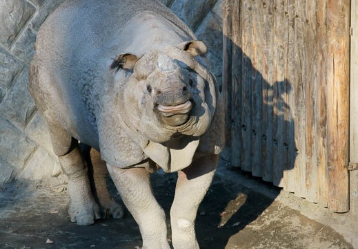 201112261432-DSC04891.jpg