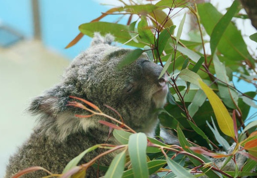 201112261442-DSC04911.jpg