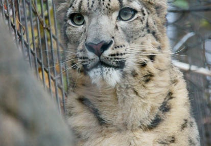 12.26 多摩動物公園