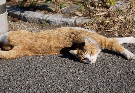 201112271212-DSC05119.jpg