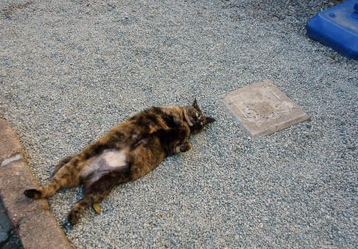201112271238-DSC05201.jpg