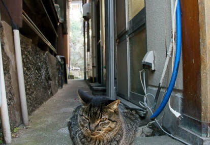 201112271239-DSC05206.jpg