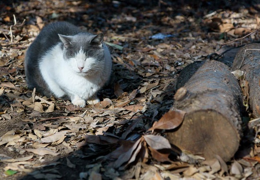 201112271252-DSC05226.jpg