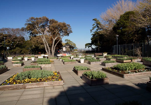 201112271303-DSC05237.jpg