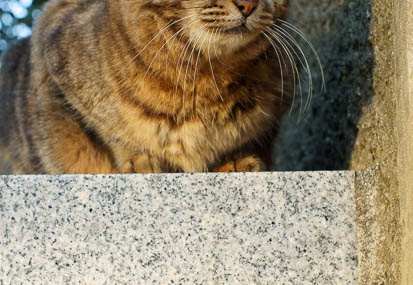 201112271541-DSC05457.jpg