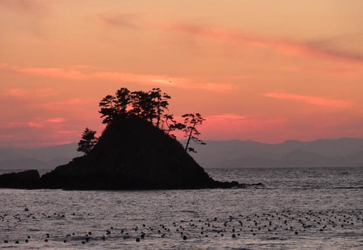 12.31 篠島
