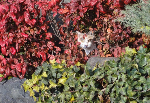 201201011433-DSC00729.jpg