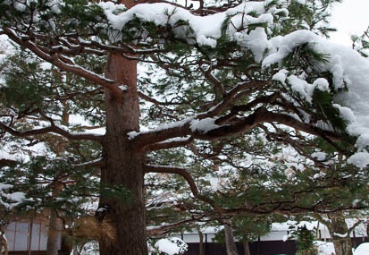 201201021059-DSC06585.jpg