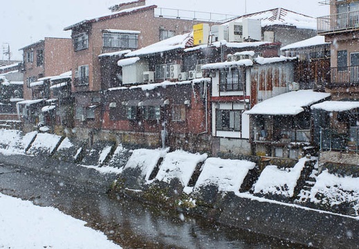 201201021145-DSC06659.jpg