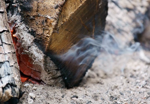 201201021249-DSC06731.jpg