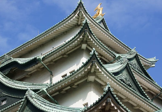 201201031354-DSC06838.jpg