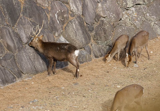 201201031407-DSC06862.jpg