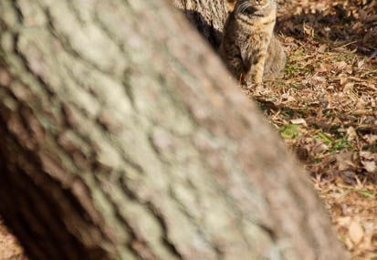 201201031411-DSC06874.jpg
