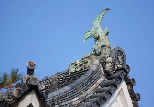 201201031415-DSC06886.jpg
