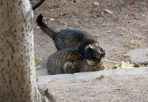 201201031421-DSC06891.jpg