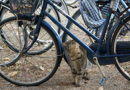 201201031423-DSC06899.jpg