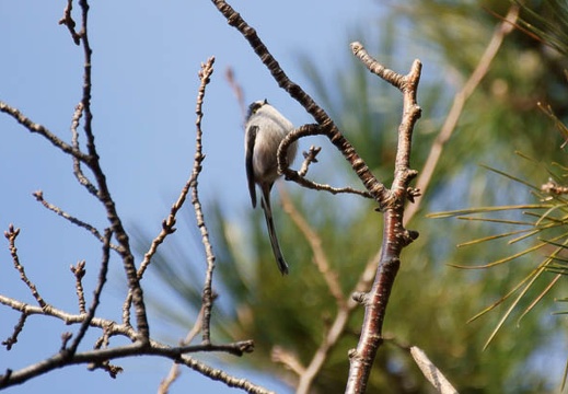 201201031453-DSC06925.jpg