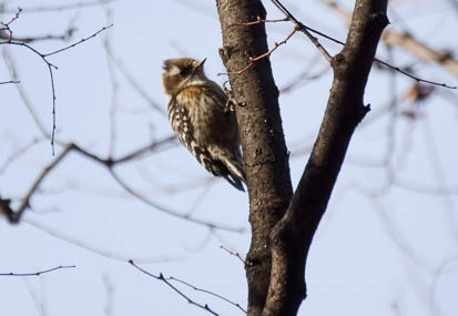 201201031455-DSC06938.jpg