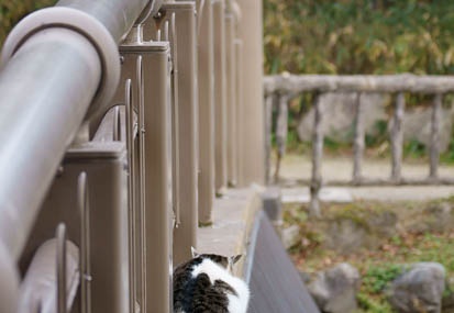 201201031520-DSC06997.jpg