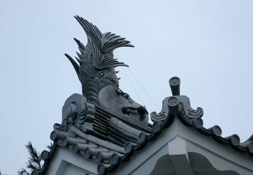 201201041615-DSC07132.jpg