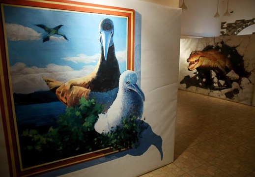 201201041713-DSC07221.jpg