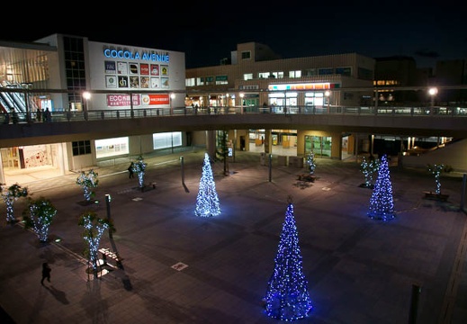 201201041735-DSC07238.jpg