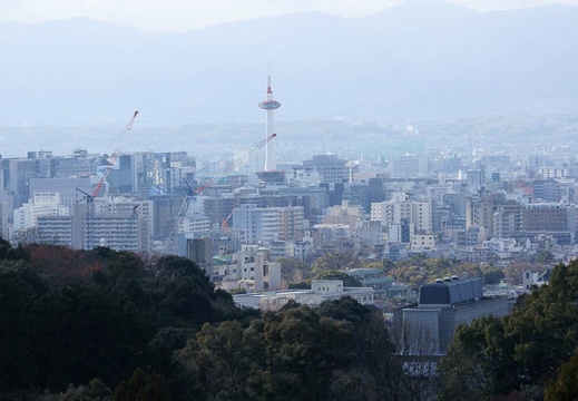 201201051354-DSC07362.jpg