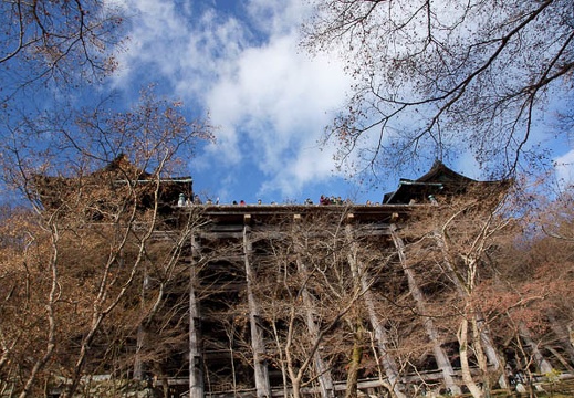 201201051408-DSC07384.jpg