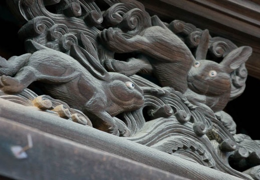 201201051624-DSC07567.jpg