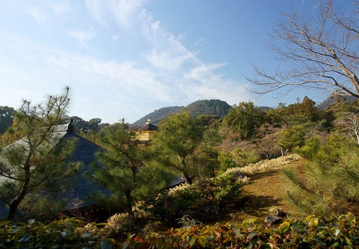 201201061041-DSC07862.jpg