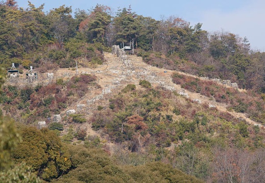 201201061105-DSC07876.jpg