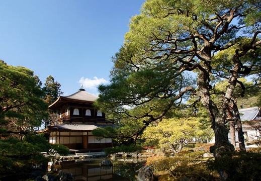 201201061219-DSC07922.jpg