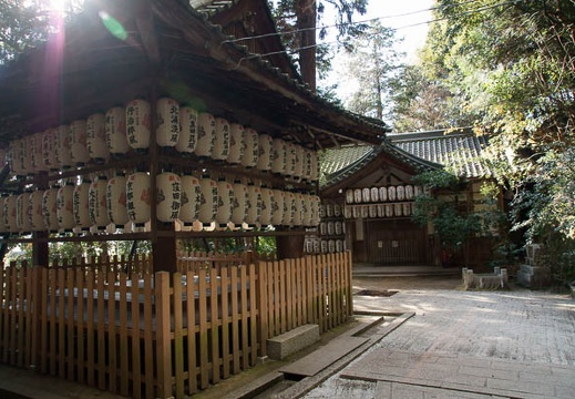 201201061252-DSC07984.jpg