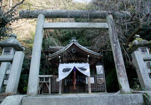201201061419-DSC08050.jpg